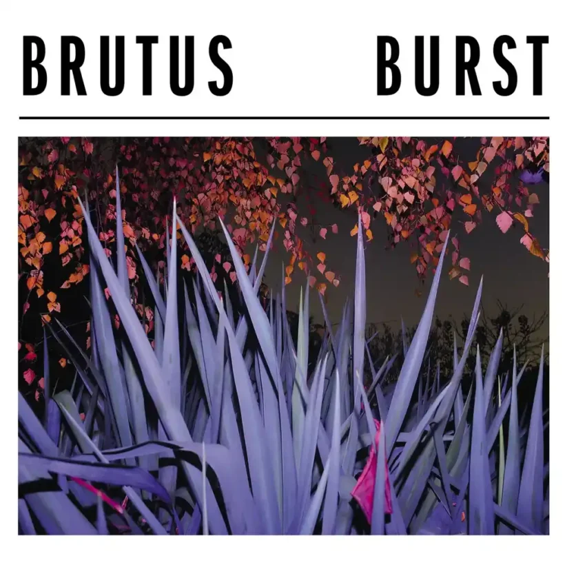 brutus burst 1 webp