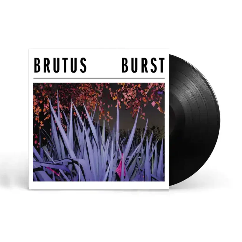 brutus burst vinilo 1 webp
