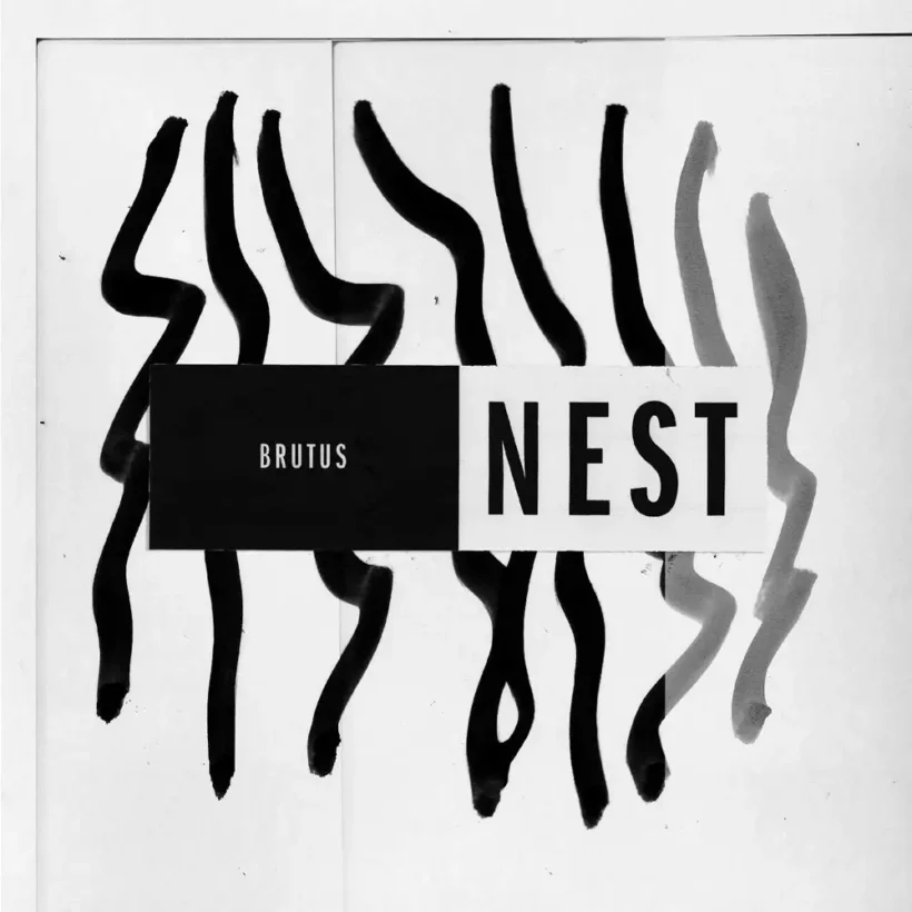 brutus nest 1 webp