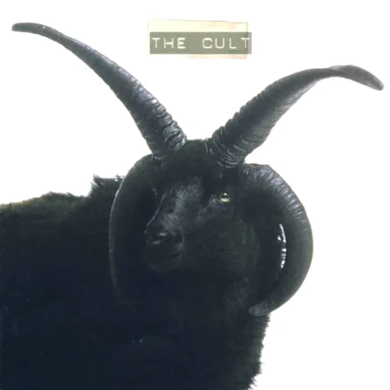 the cult the cult 1 webp