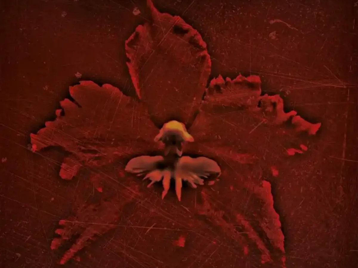 Machine Head – The Burning Red | Vinilo 180g | Four Skulls