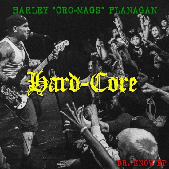 harley flanagan hard core 1 webp