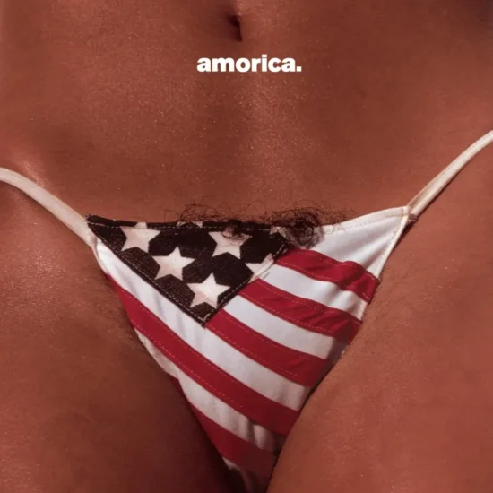 the black crowes amorica 1 webp