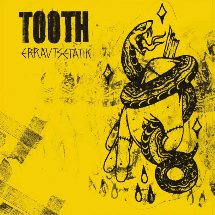 tooth errautsetatik 1 webp