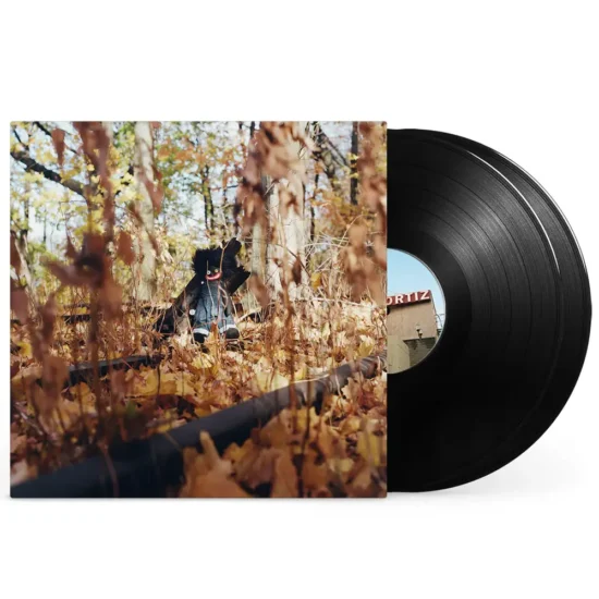 billy woods golliwog vinilo 1 webp