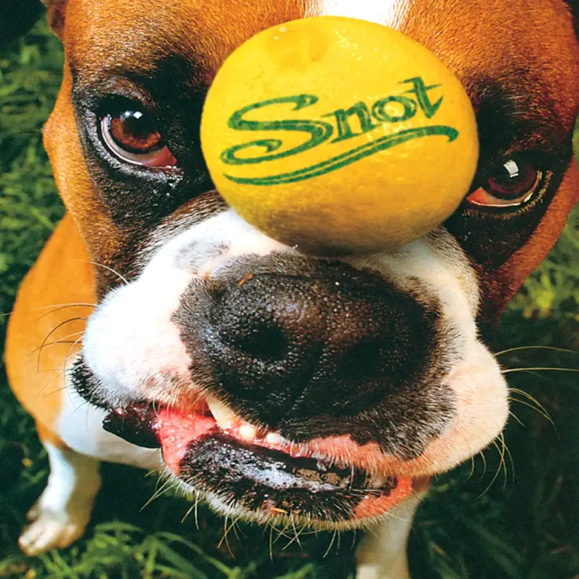 snot get some 1 webp
