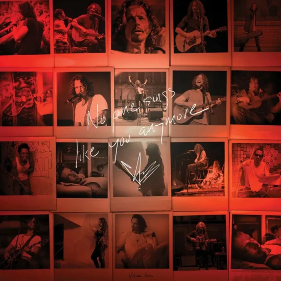 chris cornell no one sings like you anymore 1 webp