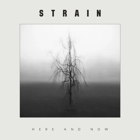 strain here and now 1 webp