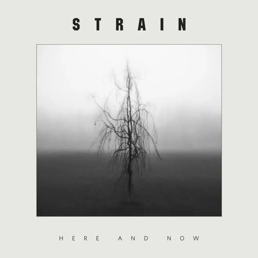 strain here and now 1 webp