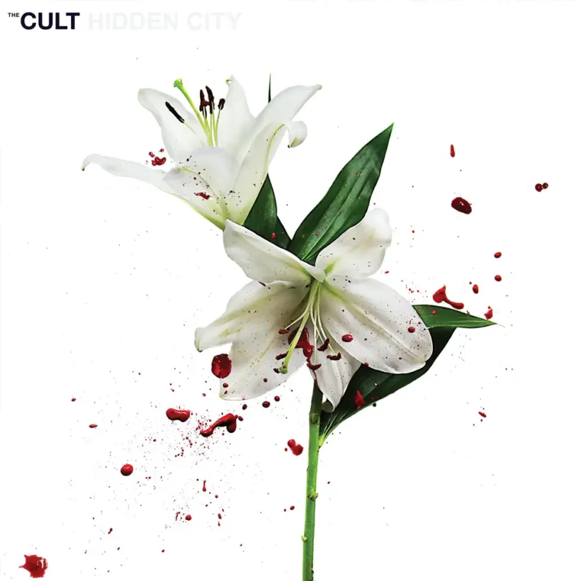 the cult hidden city 1 webp