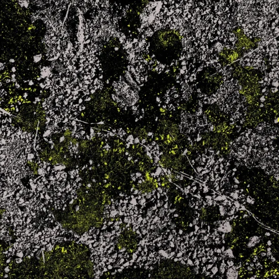 king gizzard and the lizard wizard infest the rats nest live at red rocks 2022 1 webp