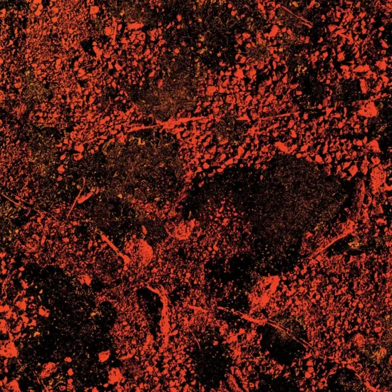 king gizzard and the lizard wizard murder or the universe live at red rocks 2022 1 webp