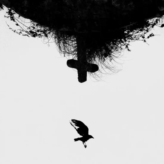 medussa mueran las ideas 1 webp