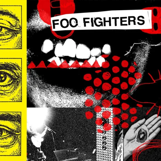 foo fighters your favorite toy 1 webp