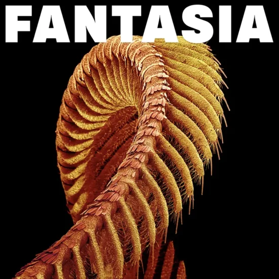 slift fantasia 1 webp