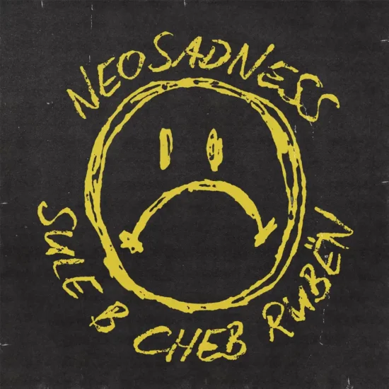 cheb ruben y sule b neosadness 1 webp
