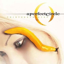 a perfect circle thirteenth step 1.jpg