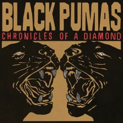 black pumas chronicles of a diamond 1 webp