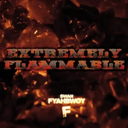 fyahbwoy extremely flammable 1 webp