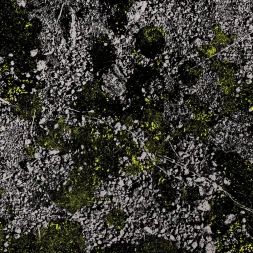 king gizzard and the lizard wizard infest the rats nest live at red rocks 2022 1 webp