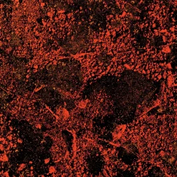 king gizzard and the lizard wizard murder or the universe live at red rocks 2022 1 webp