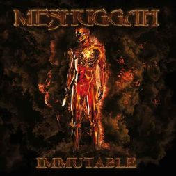 meshuggah immutable 1.jpg