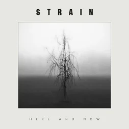 strain here and now 1 webp
